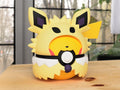 #0025 - Pikachu Jolteon Poncho